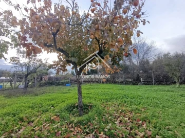 Terreno para Venda em Alcains