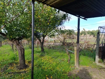 Terreno para Venda em Alcains