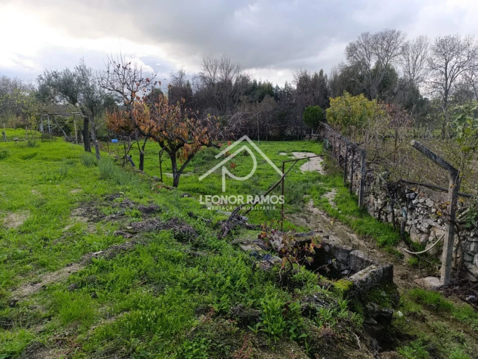 Terreno para Venda em Alcains Foto 6