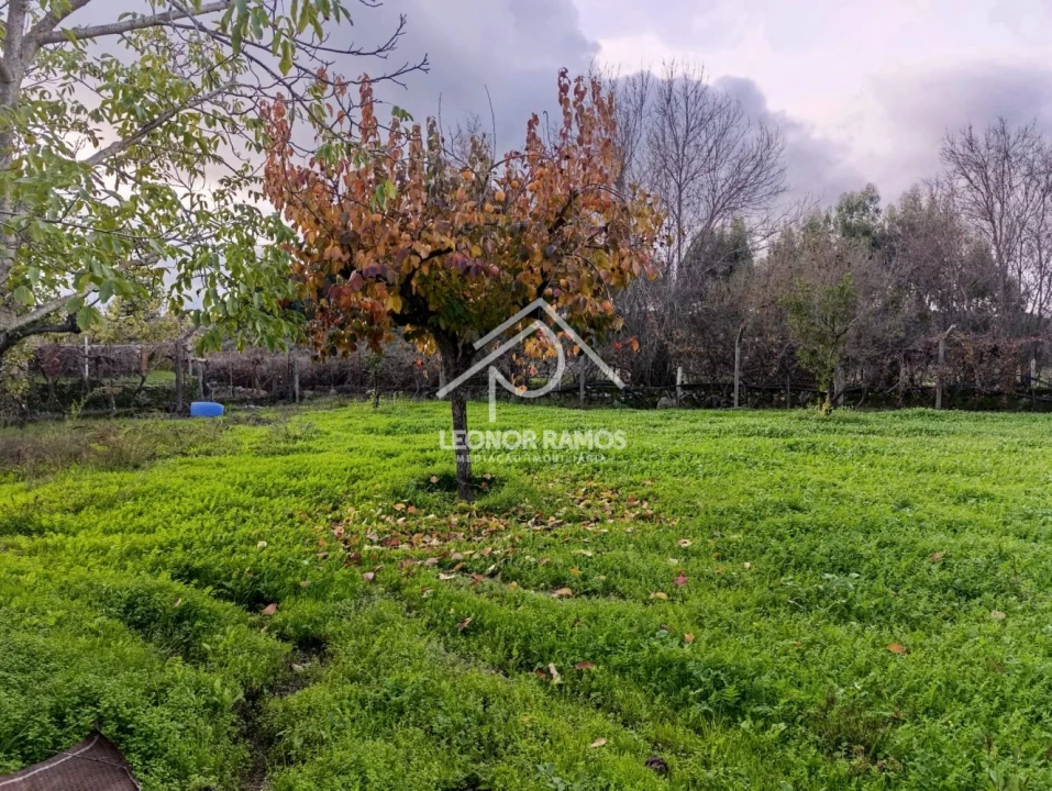 Terreno para Venda em Alcains Foto 4