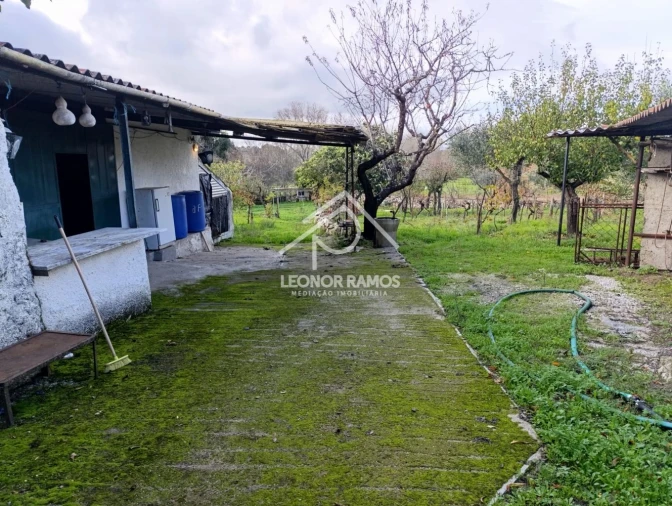 Terreno para Venda em Alcains Foto 31