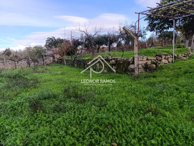 Terreno para Venda em Alcains Foto 13