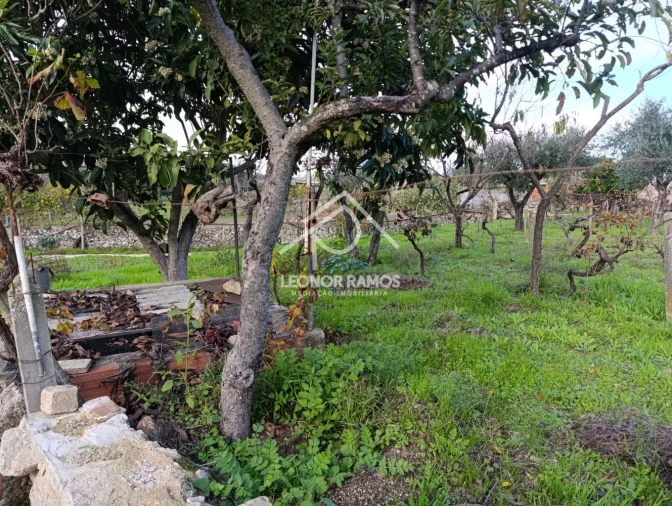 Terreno para Venda em Alcains Foto 20