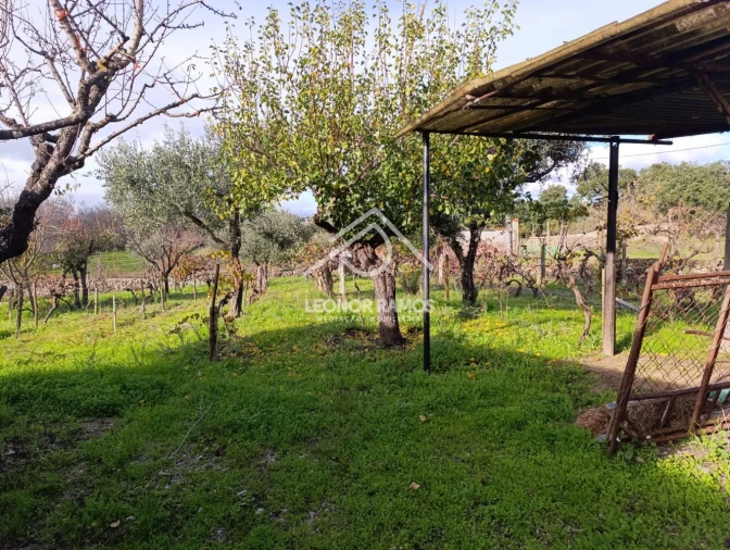 Terreno para Venda em Alcains Foto 3