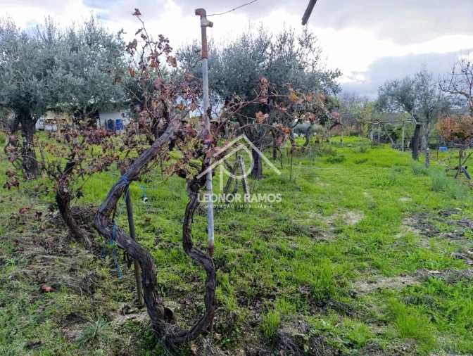 Terreno para Venda em Alcains Foto 8