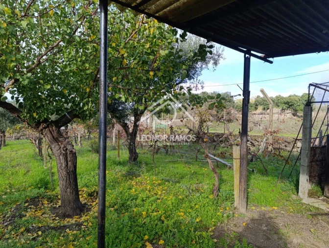 Terreno para Venda em Alcains Foto 27