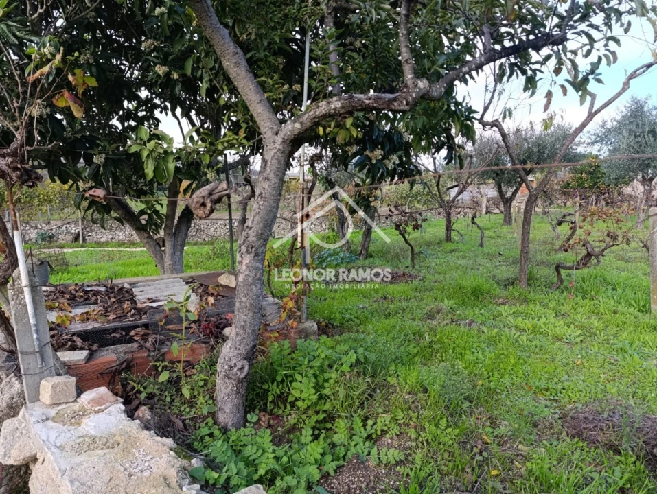 Terreno para Venda em Alcains Foto 20
