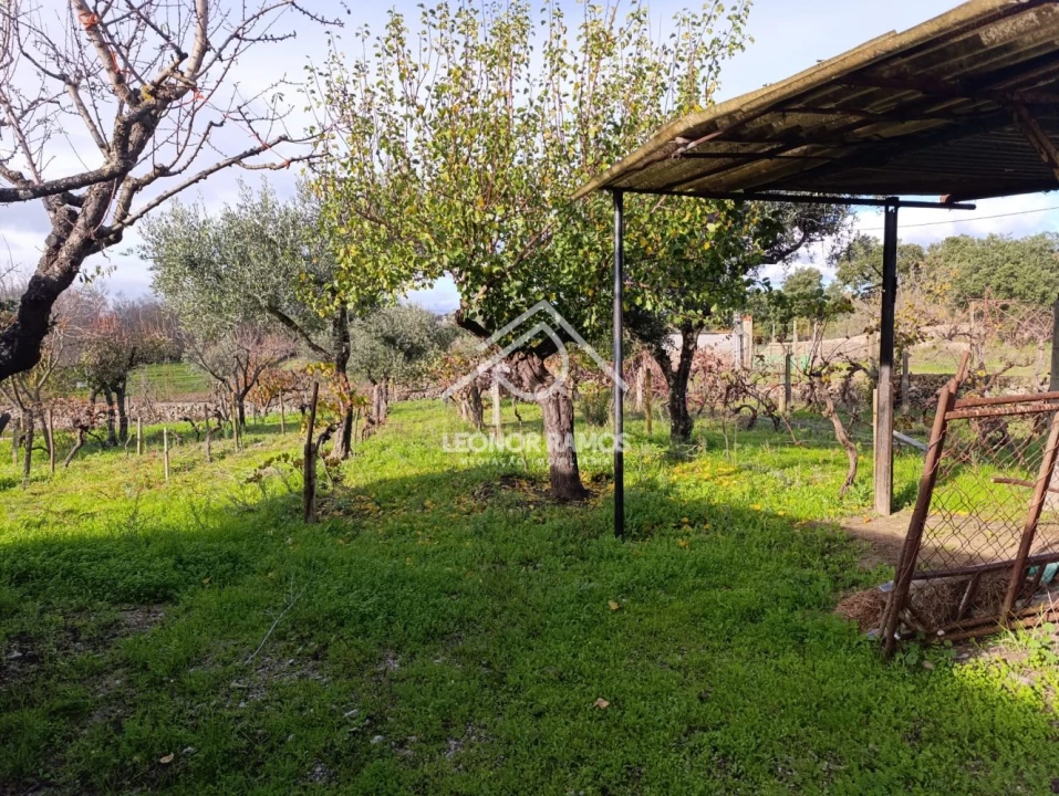 Terreno para Venda em Alcains Foto 3