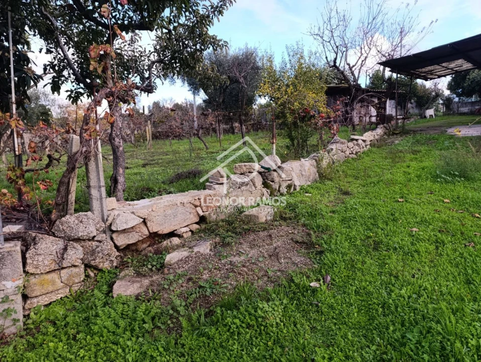 Terreno para Venda em Alcains Foto 17