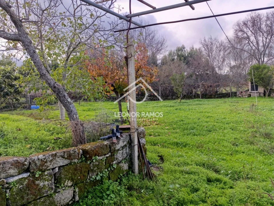Terreno para Venda em Alcains Foto 16