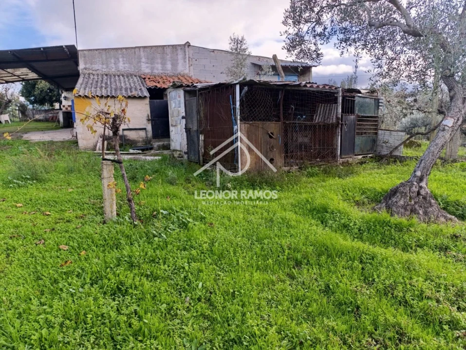 Terreno para Venda em Alcains Foto 29