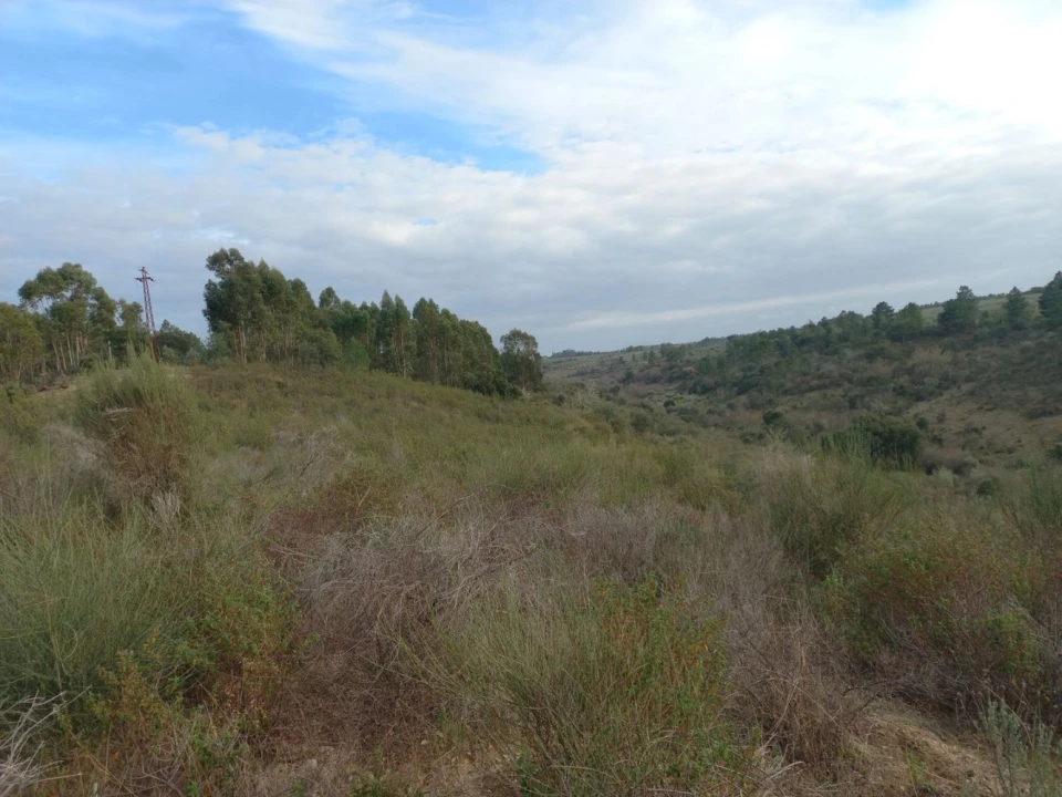 Terreno para Venda em Castelo Branco Foto 10