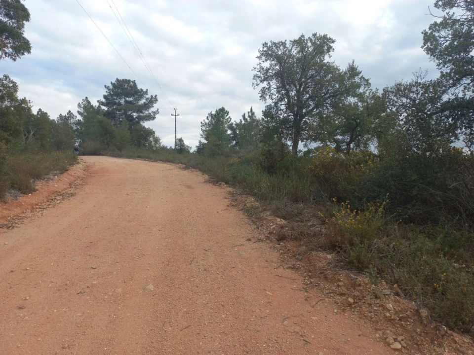 Terreno para Venda em Castelo Branco Foto 7