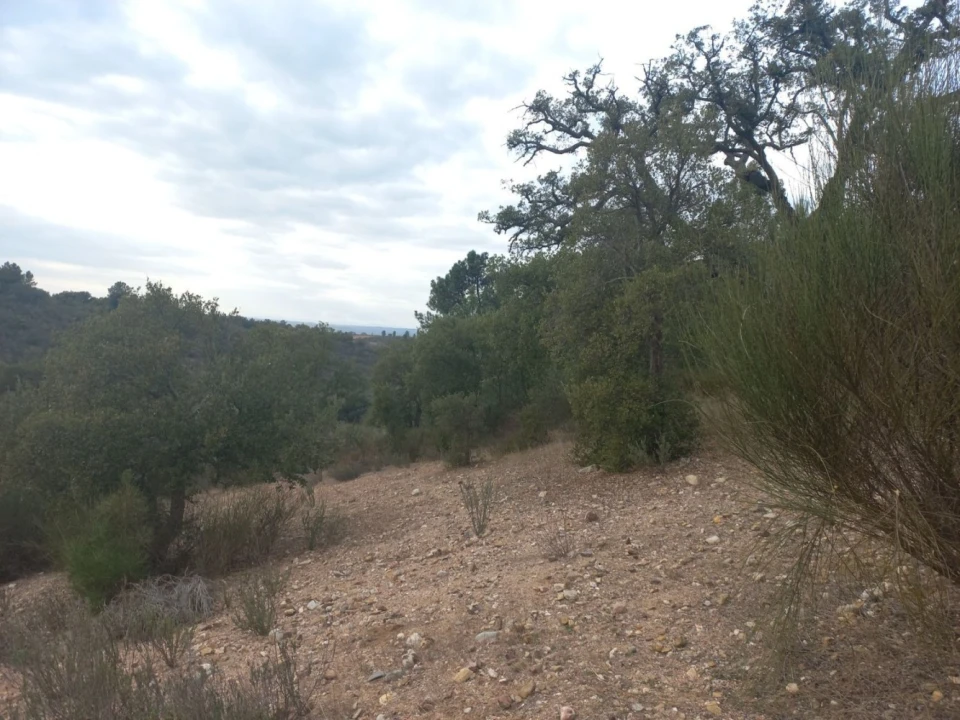 Terreno para Venda em Castelo Branco Foto 5