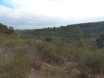 Terreno para Venda em Castelo Branco