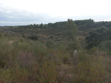 Terreno para Venda em Castelo Branco