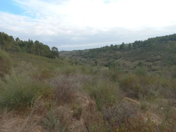 Terreno para Venda em Castelo Branco