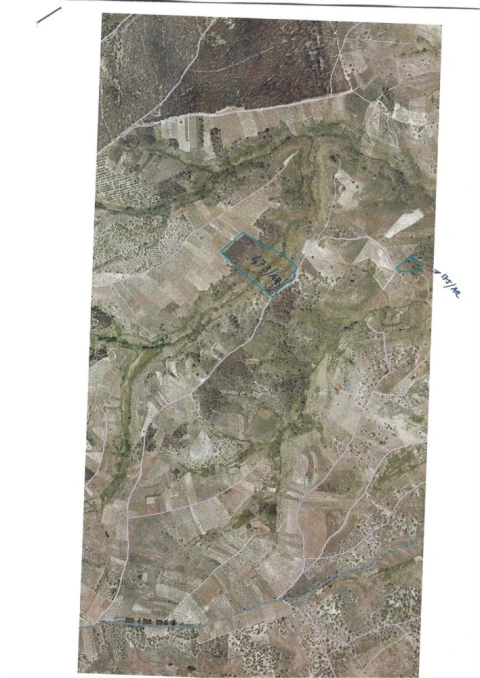 Terreno para Venda em Castelo Branco