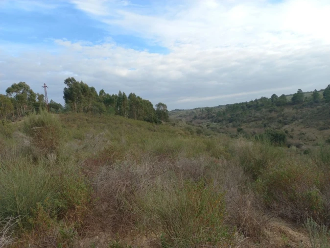 Terreno para Venda em Castelo Branco Foto 10