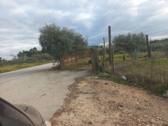 Terreno para Venda em Castelo Branco Foto 11