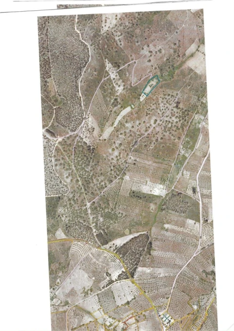 Terreno para Venda em Castelo Branco