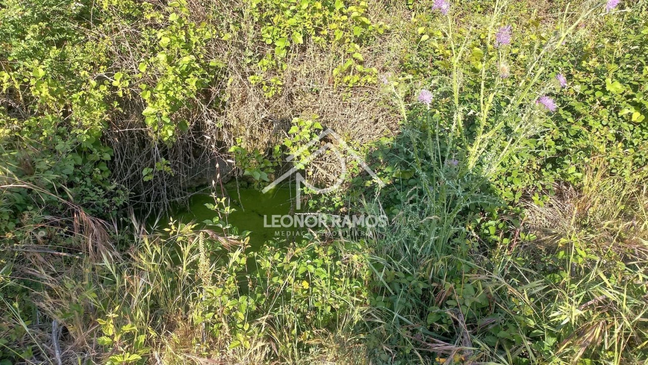 Terreno para Venda em Alcains Foto 9
