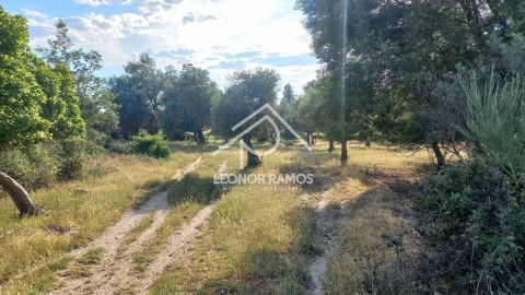 Terreno para Venda em Alcains