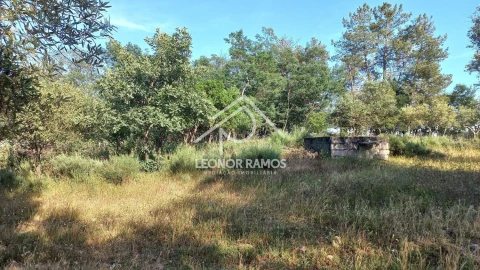 Terreno para Venda em Alcains
