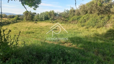 Terreno para Venda em Alcains