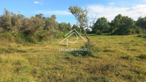 Terreno para Venda em Alcains
