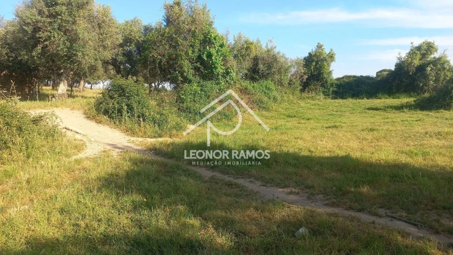 Terreno para Venda em Alcains Foto 13