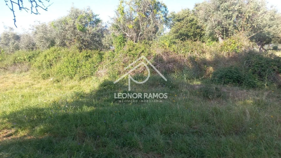 Terreno para Venda em Alcains Foto 10