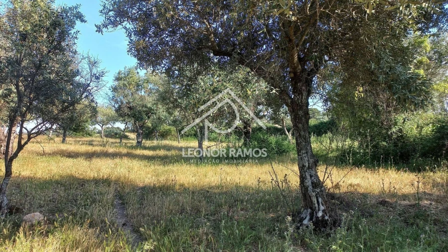 Terreno para Venda em Alcains Foto 7