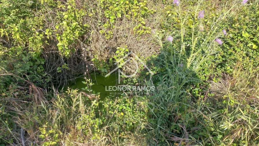 Terreno para Venda em Alcains Foto 9