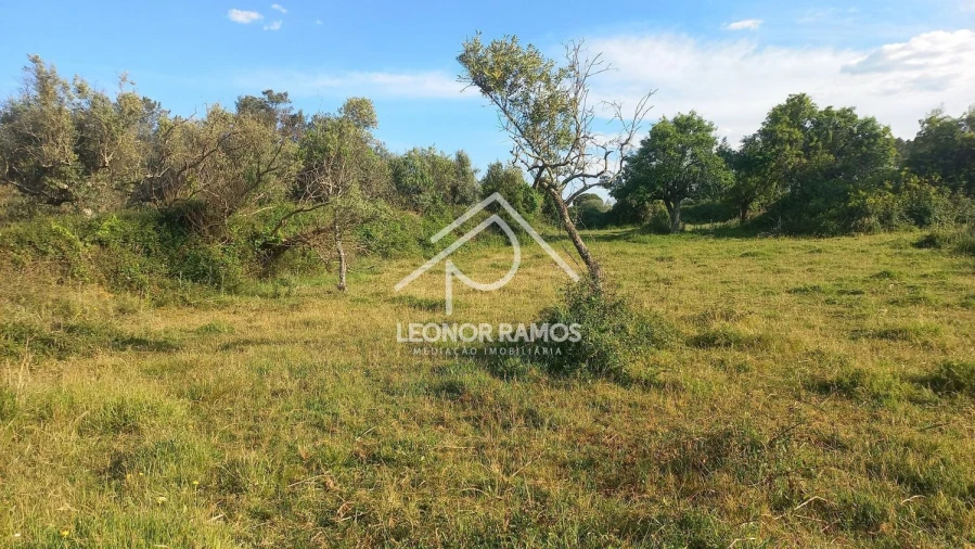 Terreno para Venda em Alcains Foto 2