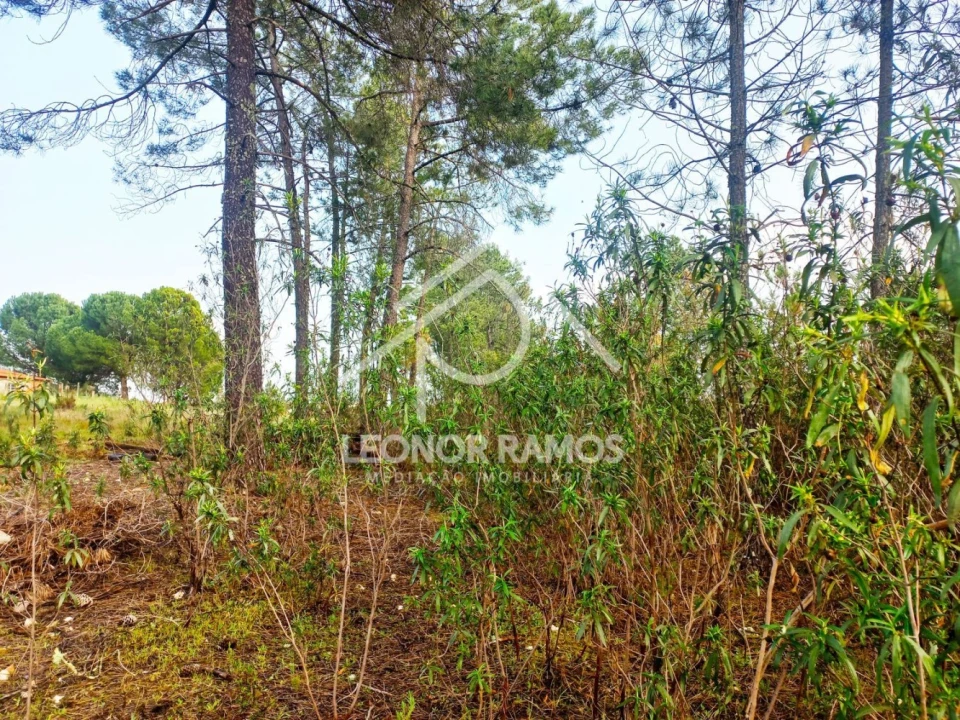 Terreno para Venda em Vila Velha de Rodão Foto 22