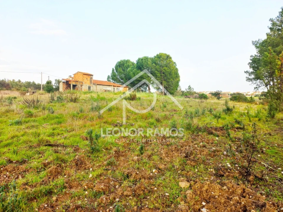 Terreno para Venda em Vila Velha de Rodão Foto 25