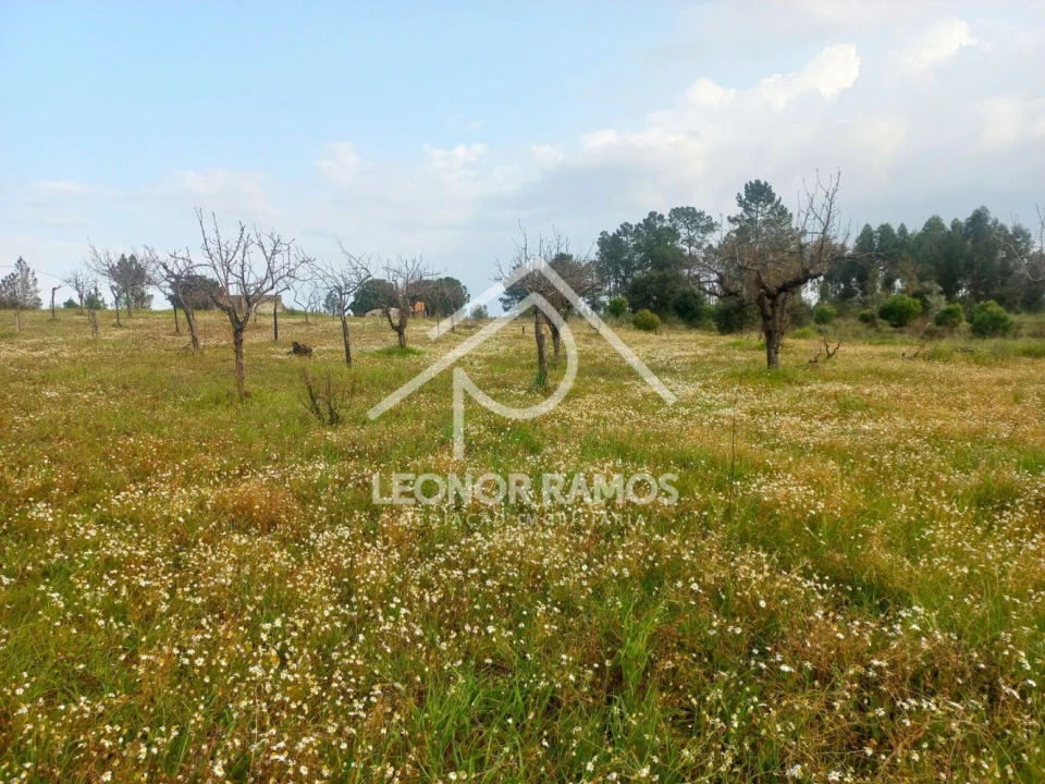Terreno para Venda em Vila Velha de Rodão Foto 9