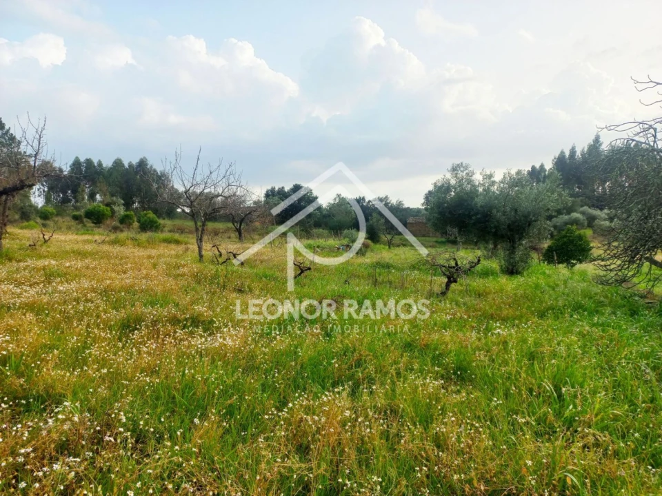 Terreno para Venda em Vila Velha de Rodão Foto 11