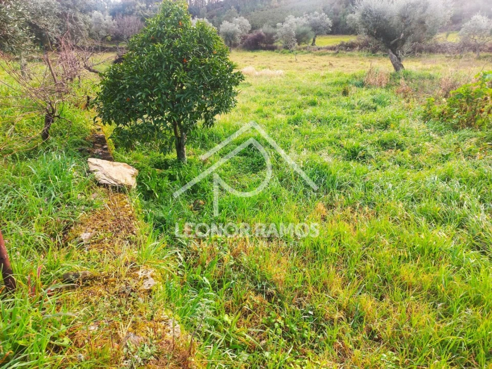 Terreno para Venda em Vila Velha de Rodão Foto 15