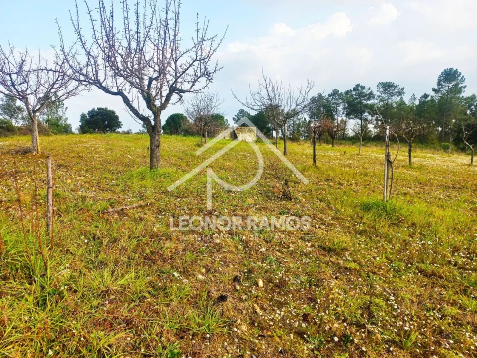 Terreno para Venda em Vila Velha de Rodão Foto 5