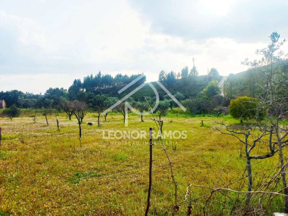 Terreno para Venda em Vila Velha de Rodão Foto 4