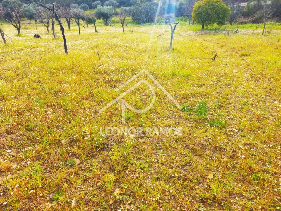 Terreno para Venda em Vila Velha de Rodão Foto 32