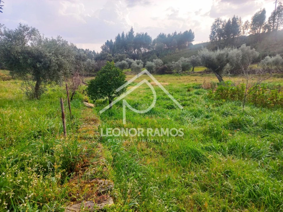 Terreno para Venda em Vila Velha de Rodão Foto 13