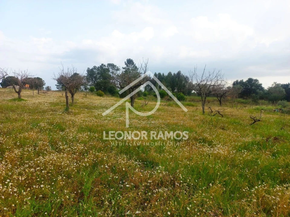 Terreno para Venda em Vila Velha de Rodão Foto 10