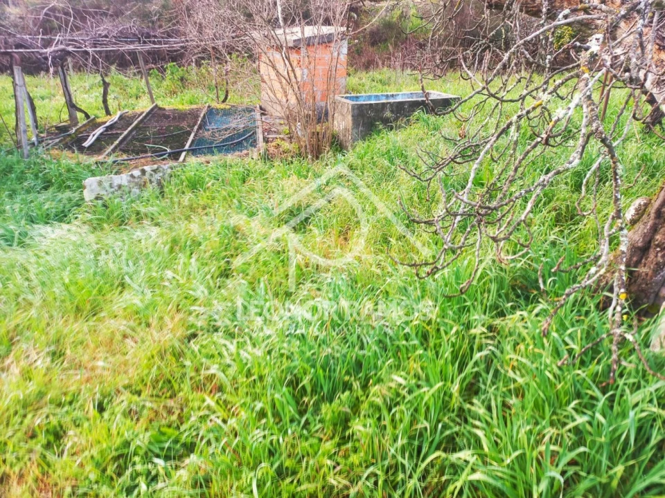 Terreno para Venda em Vila Velha de Rodão Foto 14