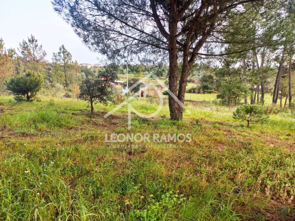 Terreno para Venda em Vila Velha de Rodão Foto 28