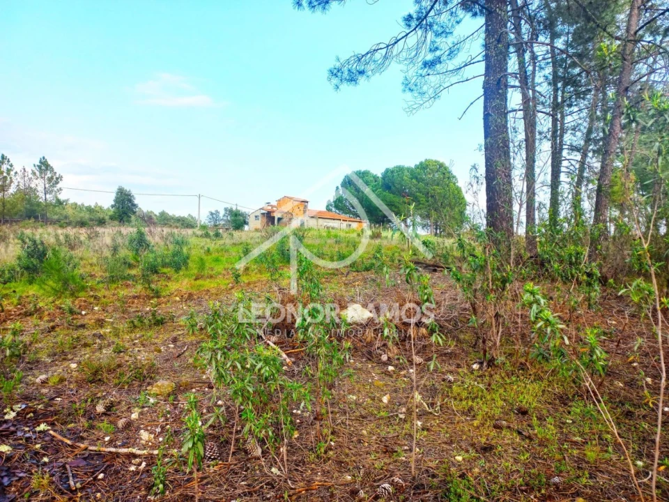 Terreno para Venda em Vila Velha de Rodão Foto 23