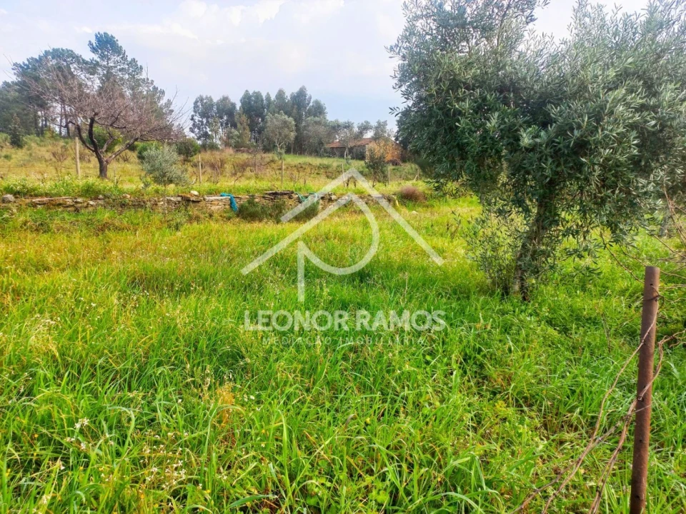 Terreno para Venda em Vila Velha de Rodão Foto 16