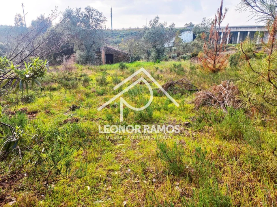 Terreno para Venda em Vila Velha de Rodão Foto 21